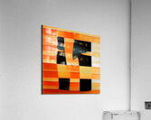 1538 8K Acrylic Print