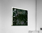 1540 8K Acrylic Print