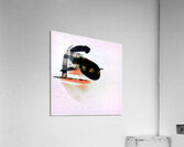 1513 8K Acrylic Print