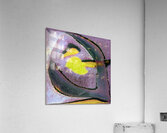 1556 8K Acrylic Print