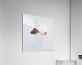 1569 8K Acrylic Print