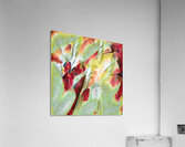 1624 8K Acrylic Print