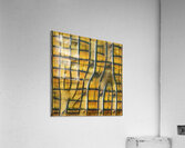 1619 8K Acrylic Print