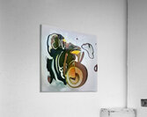 1615 8K Acrylic Print