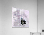 1609 8K Acrylic Print