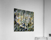 1612 8K Acrylic Print