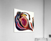 1647 8K Acrylic Print