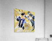 1631 8K Acrylic Print