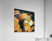 1659 8K Acrylic Print