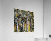 1663 8K Acrylic Print