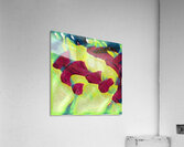 1664 8K Acrylic Print