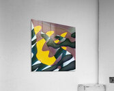 1651 8K Acrylic Print