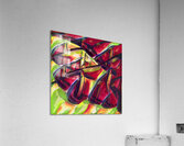 1649 8K Acrylic Print