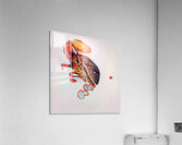 1658 8K Acrylic Print