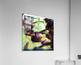 1668 8K Acrylic Print