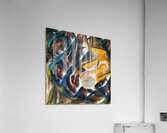 1638 8K Acrylic Print