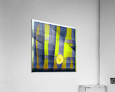 1686 8K Acrylic Print