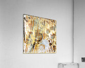 1678 8K Acrylic Print