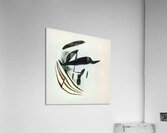 1671 8K Acrylic Print