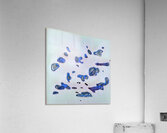 1703 8K Acrylic Print