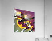 1674 8K Acrylic Print