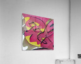 1705 8K Acrylic Print