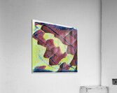 1679 8K Acrylic Print