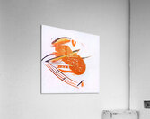 1676 8K Acrylic Print