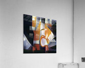 1687 8K Acrylic Print