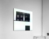 1690 8K Acrylic Print