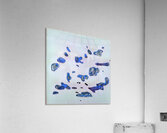 1703 8K Acrylic Print