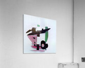 1702 8K Acrylic Print