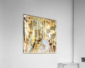 1678 8K Acrylic Print