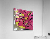 1705 8K Acrylic Print