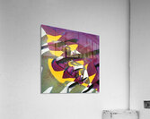 1674 8K Acrylic Print