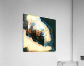 1673 8K Acrylic Print