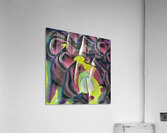 1694 8K Acrylic Print