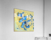 1700 8K Acrylic Print