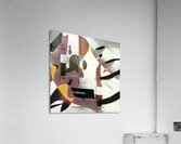 1685 8K Acrylic Print