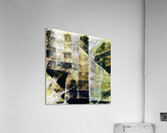 1743 8K Acrylic Print