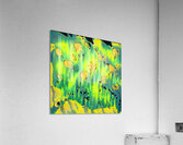 1741 8K Acrylic Print