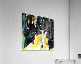 1729 8K Acrylic Print