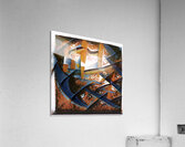 1737 8K Acrylic Print