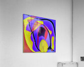 1716 8K Acrylic Print