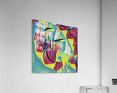 1728 8K Acrylic Print