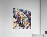 1751 8K Acrylic Print