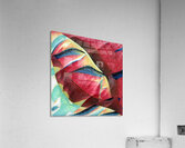 1767 8K Acrylic Print