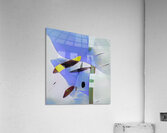 1768 8K Acrylic Print