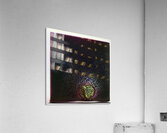 1780 8K Acrylic Print