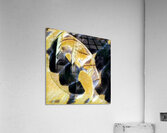 1772 8K Acrylic Print